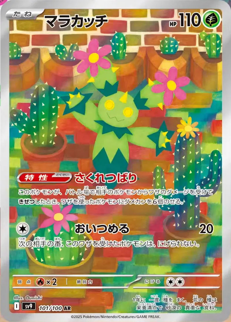 Maractus 101/100